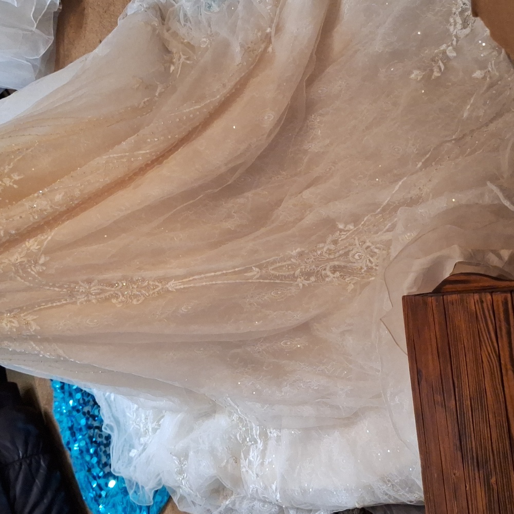 She's the Grand-Dom of all the wedding gowns. SIZE 12, # OJ1762 - Picture 5 of 14
